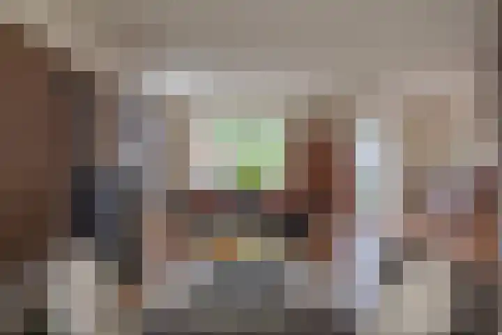 Alde Galeien 1 Boelenslaan thumbnail 7