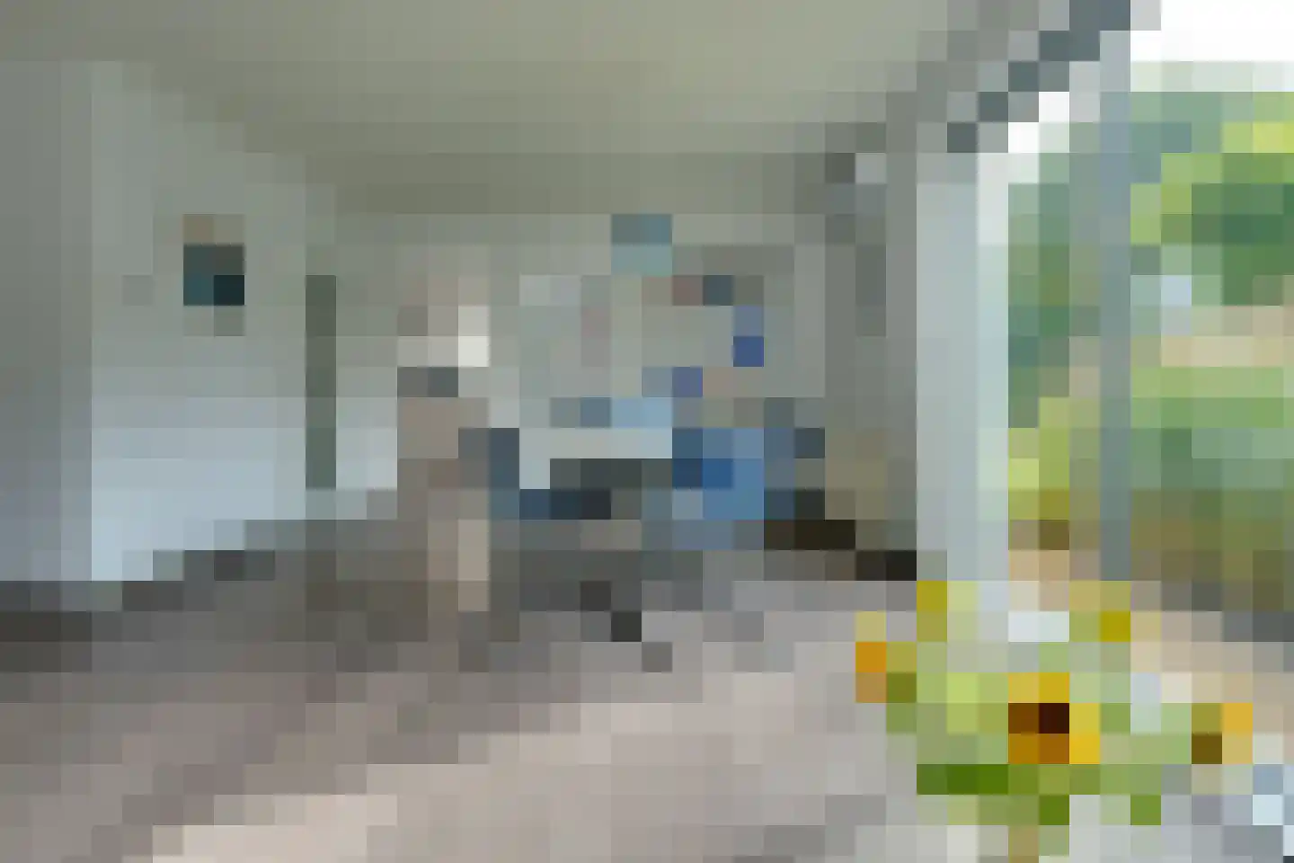 Alde Galeien 4 Boelenslaan thumbnail 12