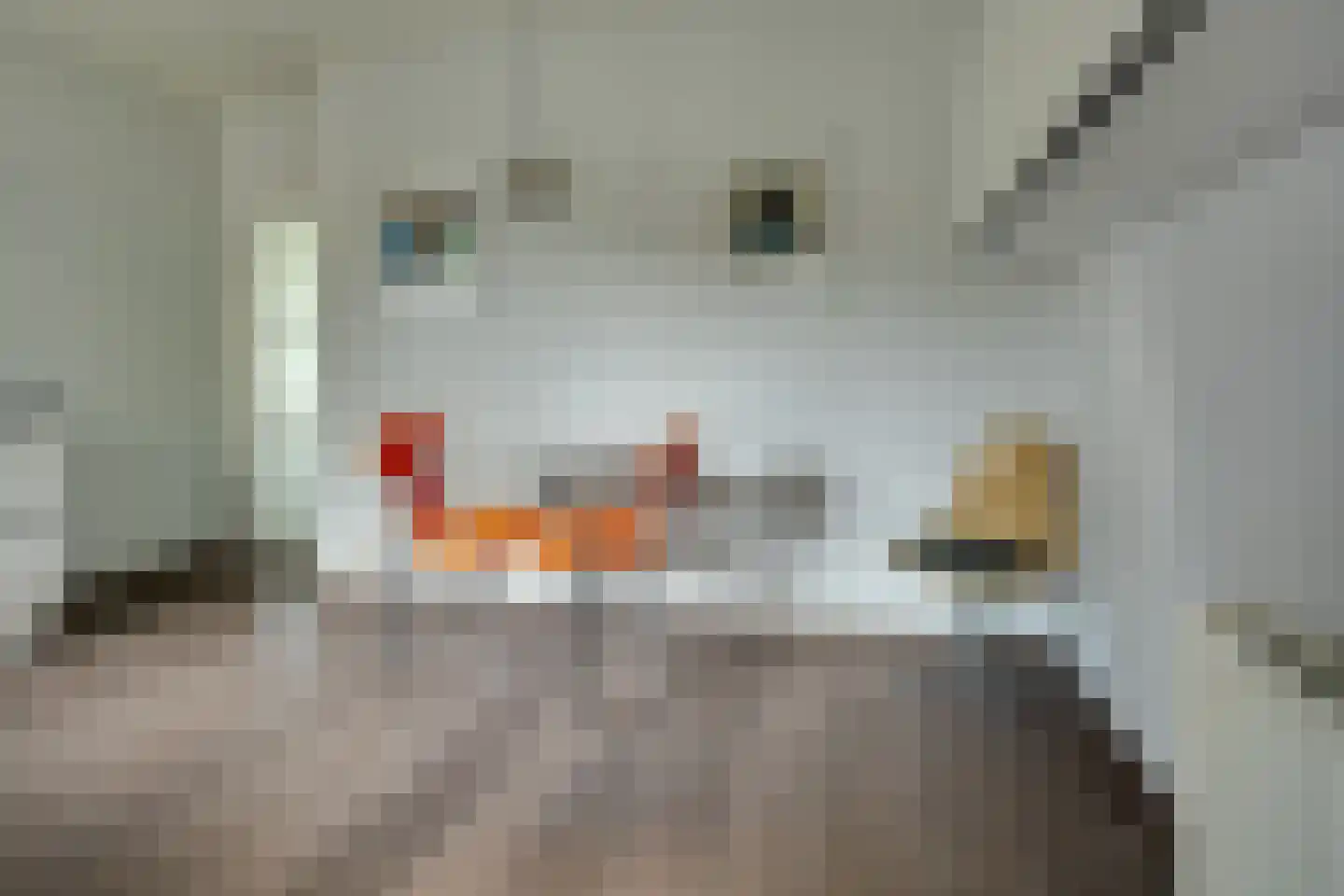 Alde Galeien 4 Boelenslaan thumbnail 19