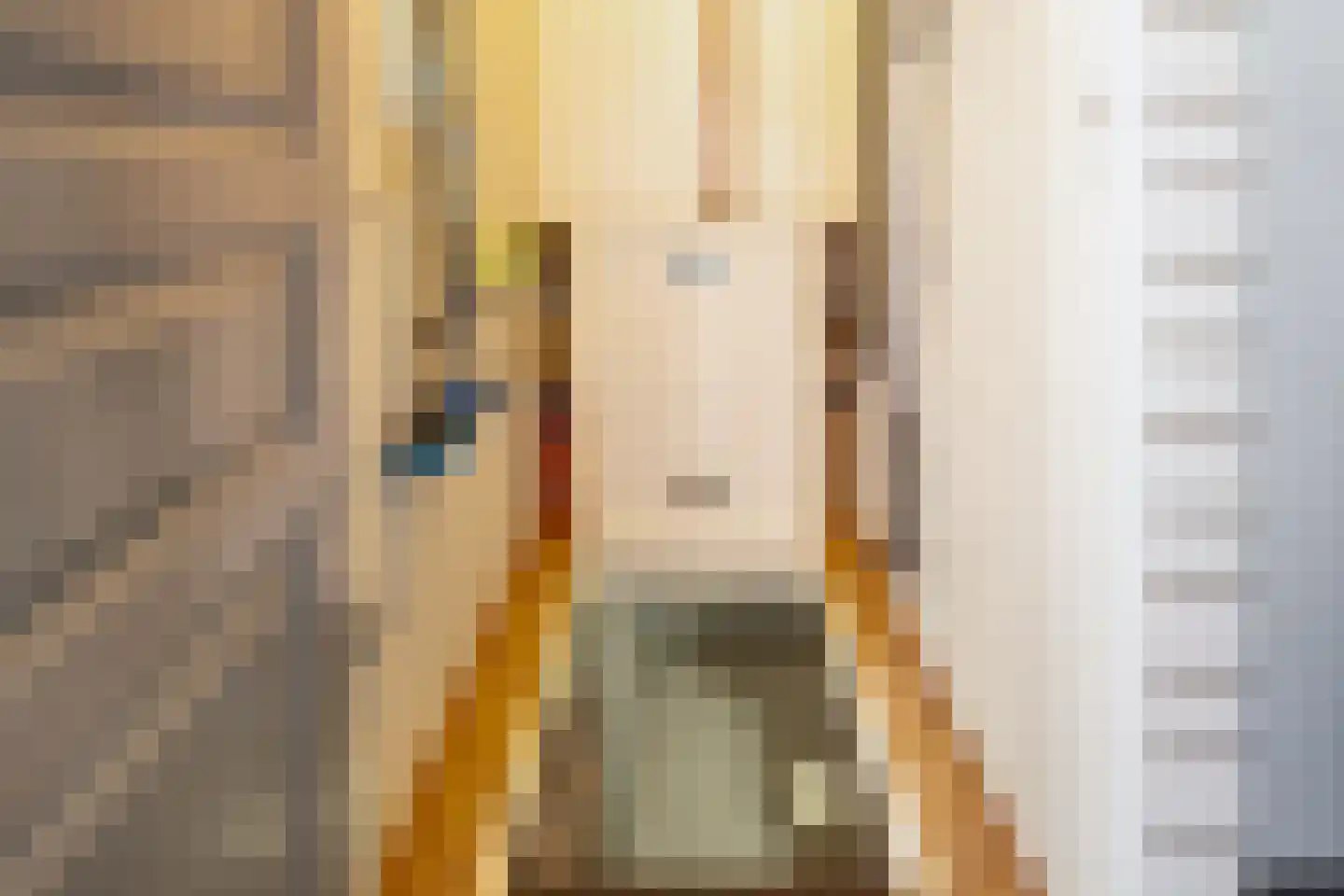 Alde Galeien 4 Boelenslaan thumbnail 25