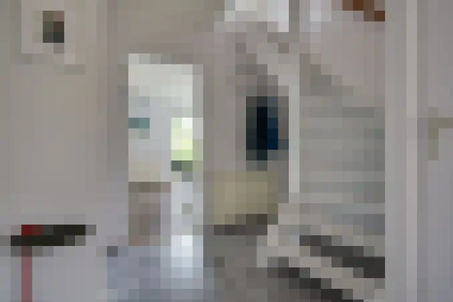 Alde Galeien 4 Boelenslaan thumbnail 27