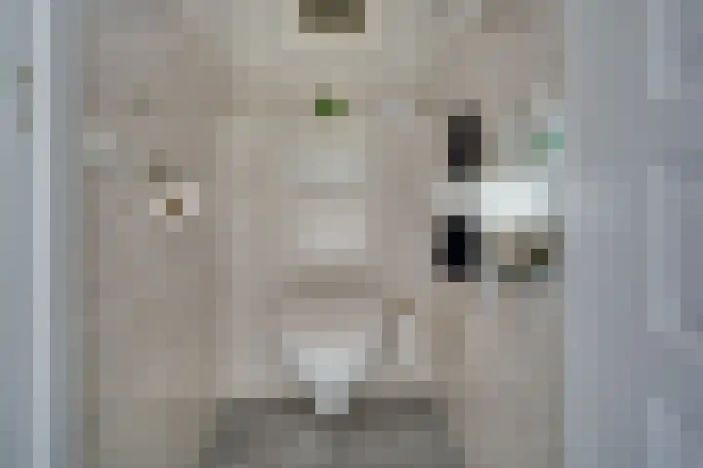 Alde Galeien 4 Boelenslaan thumbnail 28