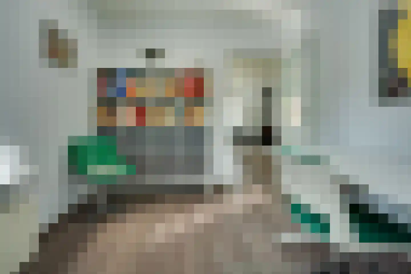 Alde Galeien 4 Boelenslaan foto 3