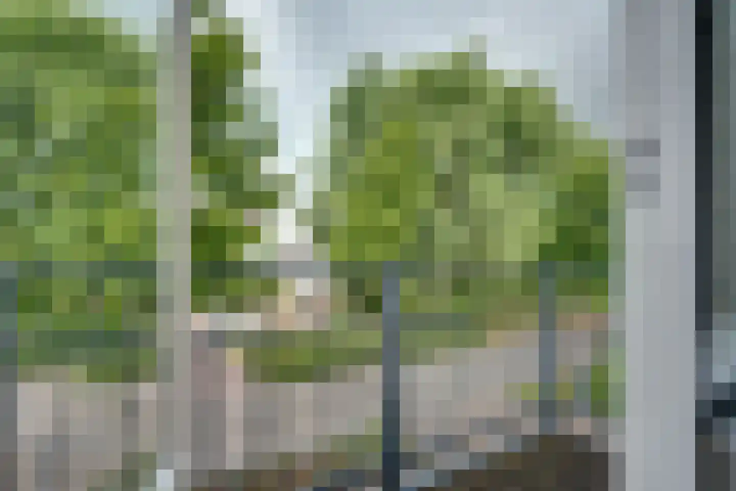 Alde Galeien 4 Boelenslaan thumbnail 32