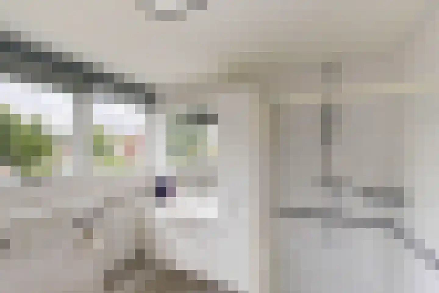 Alde Galeien 4 Boelenslaan thumbnail 40