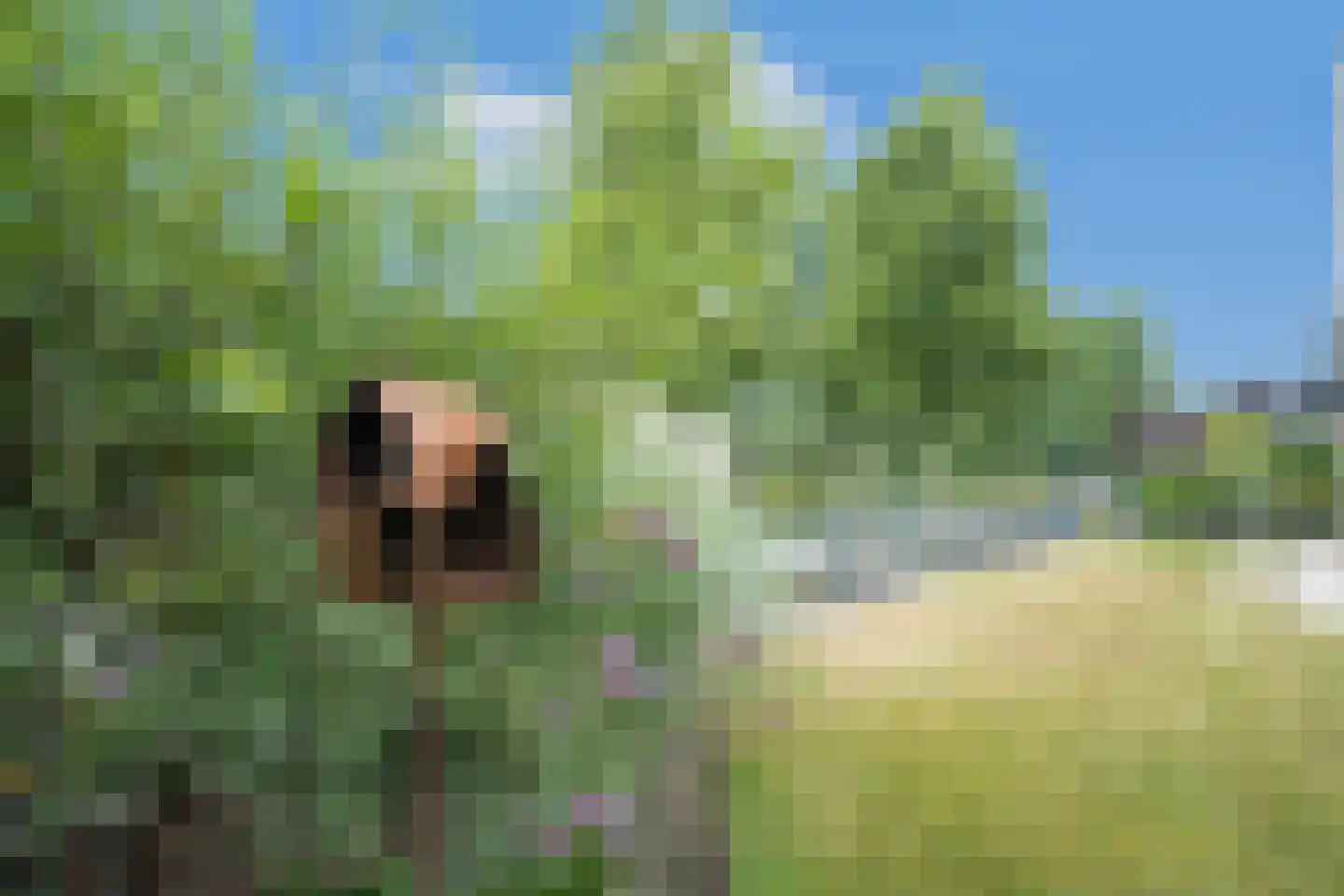 Alde Galeien 4 Boelenslaan thumbnail 43