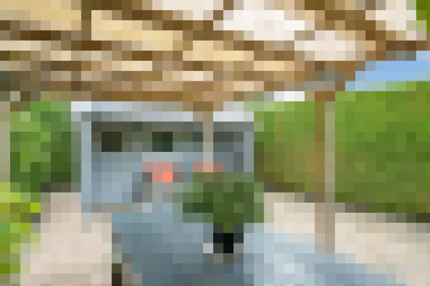 Alde Galeien 4 Boelenslaan thumbnail 47
