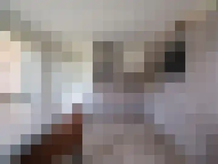 Alde Hamsterwei 9 Kootstertille thumbnail 19