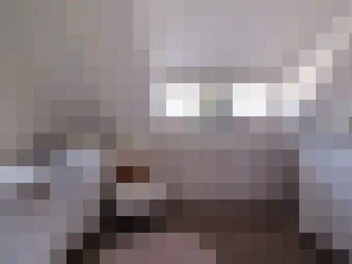 Alde Hamsterwei 9 Kootstertille thumbnail 33