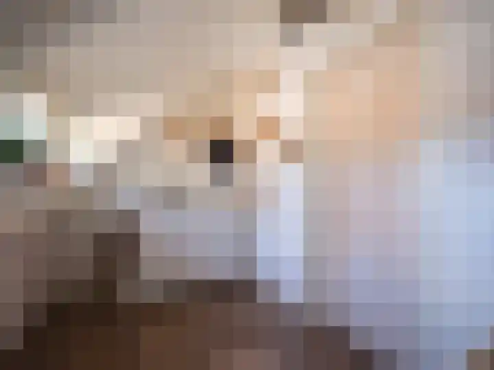 Alde Hamsterwei 9 Kootstertille thumbnail 35