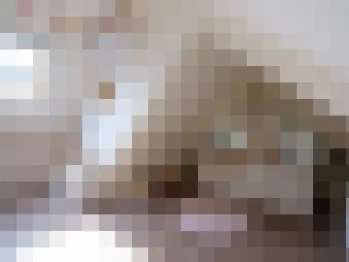 Alde Hamsterwei 9 Kootstertille thumbnail 42