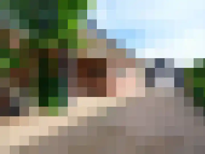 Alde Hamsterwei 9 Kootstertille thumbnail 43
