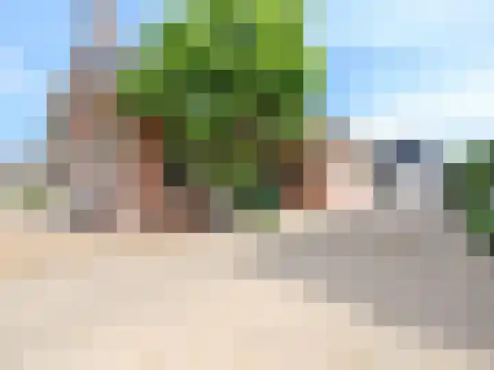 Alde Hamsterwei 9 Kootstertille thumbnail 44
