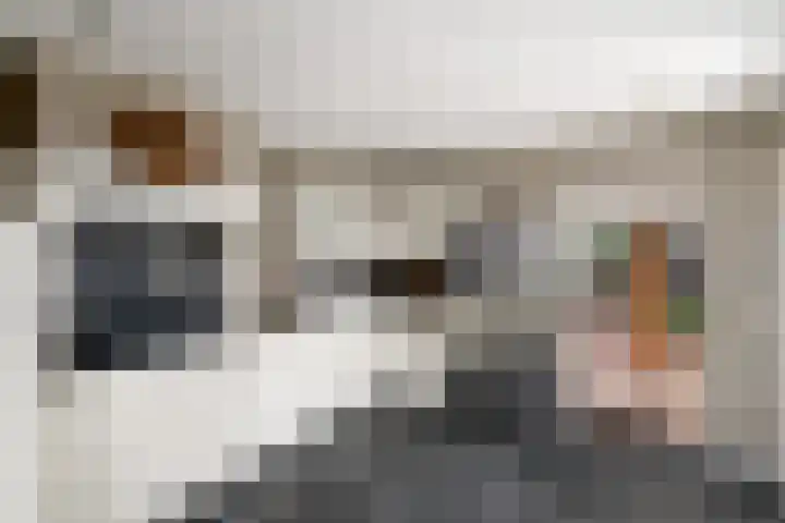 Alde Leane 22 Luxwoude thumbnail 10