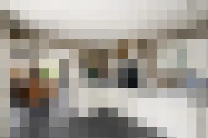 Alde Leane 22 Luxwoude thumbnail 11