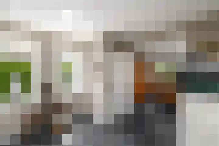 Alde Leane 22 Luxwoude thumbnail 12
