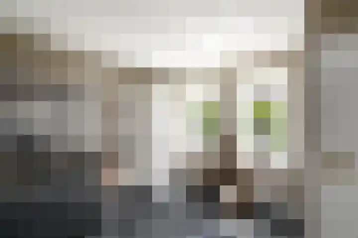 Alde Leane 22 Luxwoude thumbnail 13