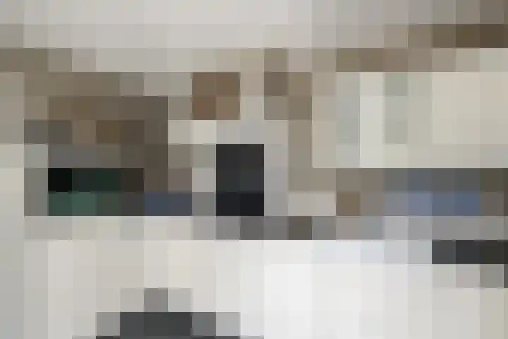 Alde Leane 22 Luxwoude thumbnail 14