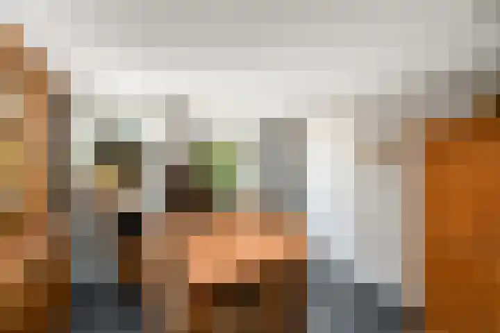 Alde Leane 22 Luxwoude thumbnail 15