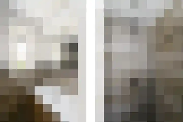 Alde Leane 22 Luxwoude thumbnail 20