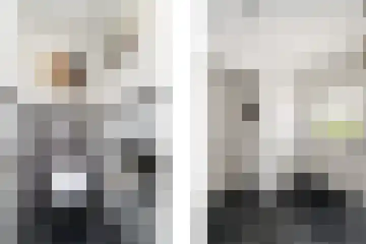 Alde Leane 22 Luxwoude thumbnail 21