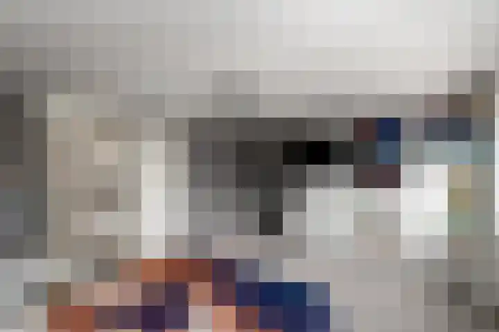 Alde Leane 22 Luxwoude thumbnail 26