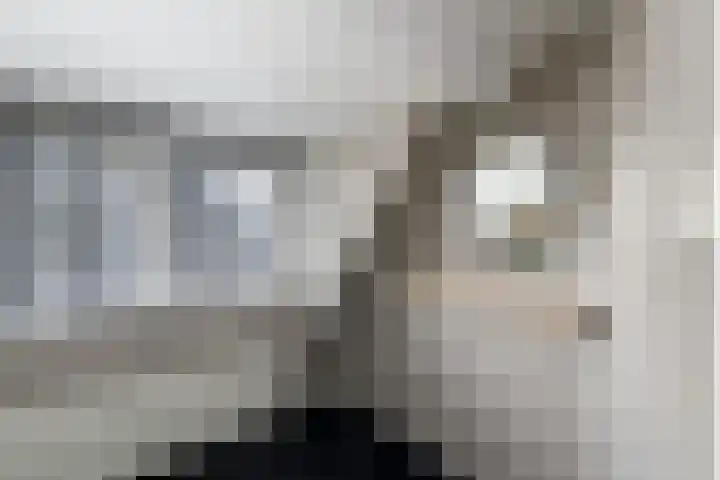 Alde Leane 22 Luxwoude thumbnail 27