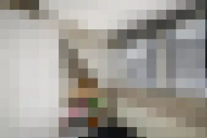 Alde Leane 22 Luxwoude thumbnail 28
