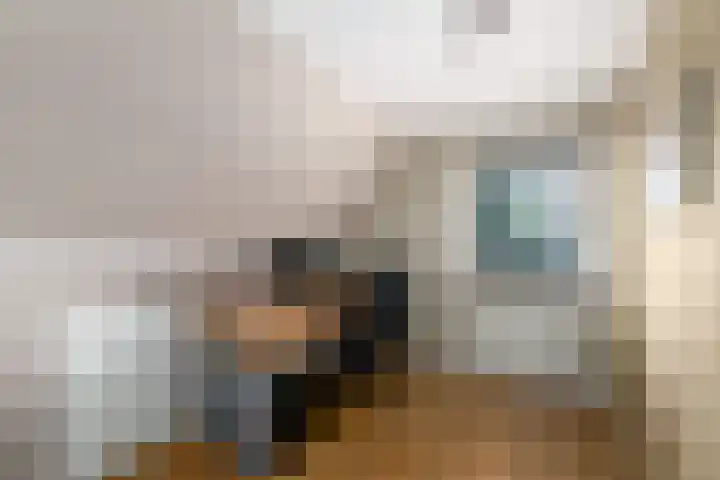 Alde Leane 22 Luxwoude thumbnail 29