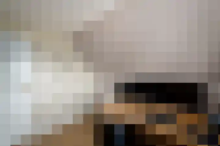 Alde Leane 22 Luxwoude thumbnail 30