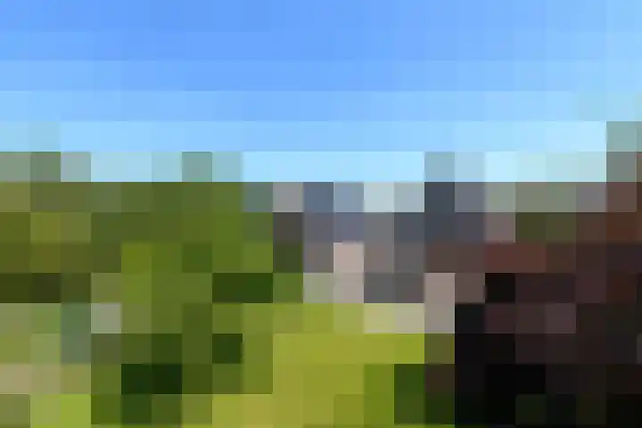Alde Leane 22 Luxwoude thumbnail 35