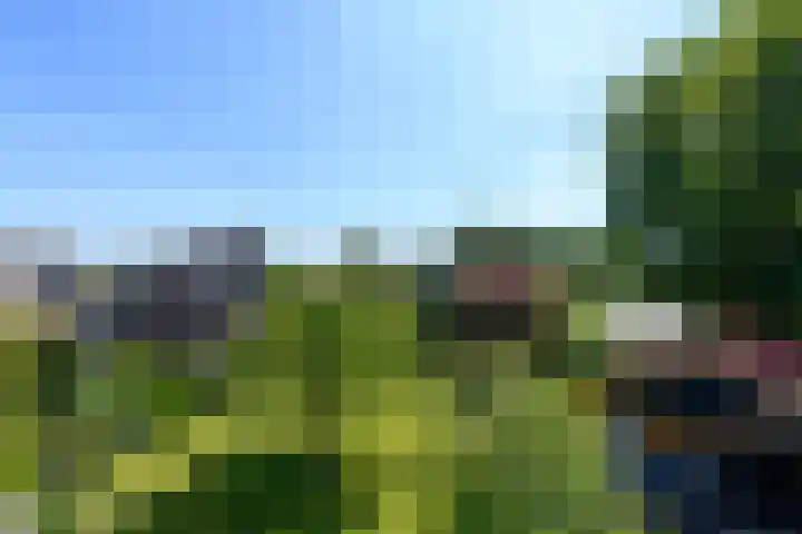Alde Leane 22 Luxwoude thumbnail 36