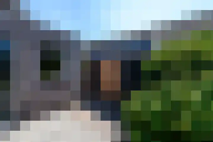 Alde Leane 22 Luxwoude thumbnail 37