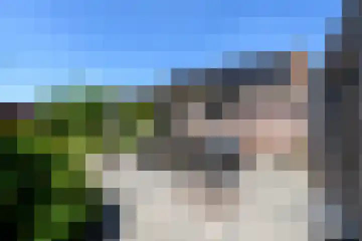 Alde Leane 22 Luxwoude thumbnail 38