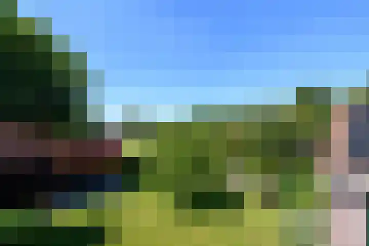 Alde Leane 22 Luxwoude thumbnail 39
