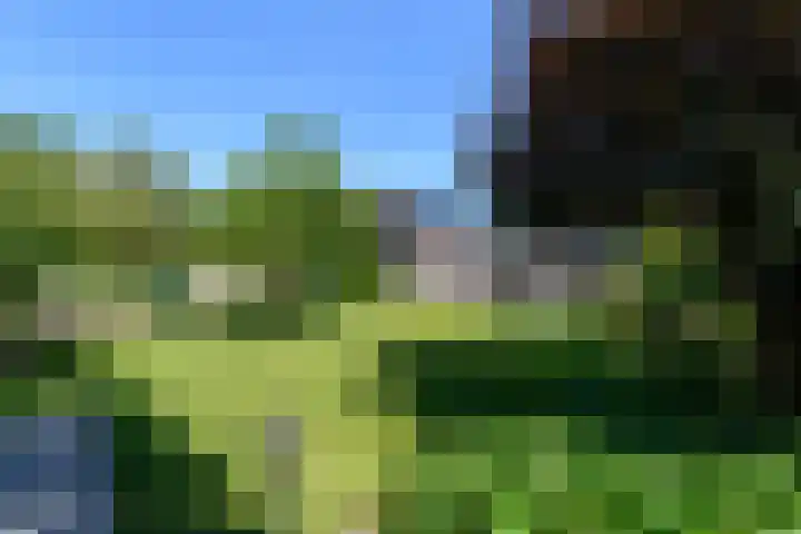 Alde Leane 22 Luxwoude thumbnail 40