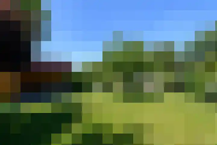 Alde Leane 22 Luxwoude thumbnail 41