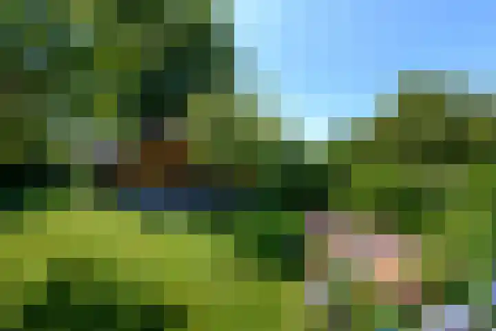 Alde Leane 22 Luxwoude thumbnail 42