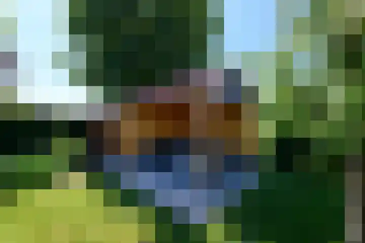 Alde Leane 22 Luxwoude thumbnail 43