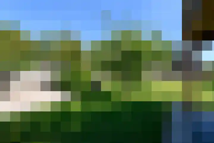 Alde Leane 22 Luxwoude thumbnail 45
