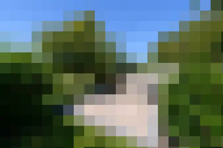 Alde Leane 22 Luxwoude thumbnail 46