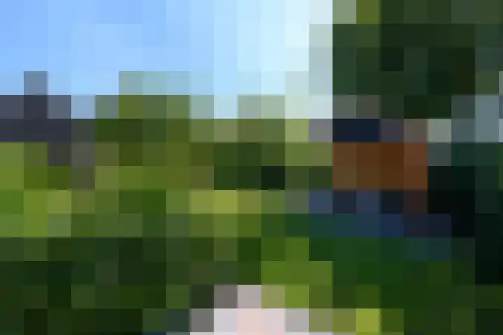 Alde Leane 22 Luxwoude thumbnail 47