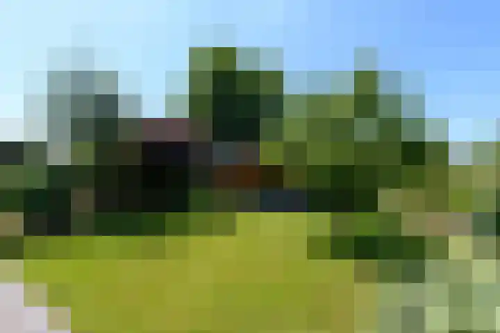 Alde Leane 22 Luxwoude thumbnail 48