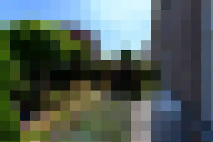 Alde Leane 22 Luxwoude thumbnail 49