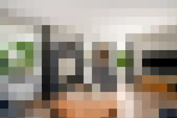 Alde Leane 22 Luxwoude thumbnail 7