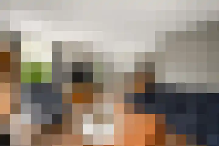 Alde Leane 22 Luxwoude thumbnail 8