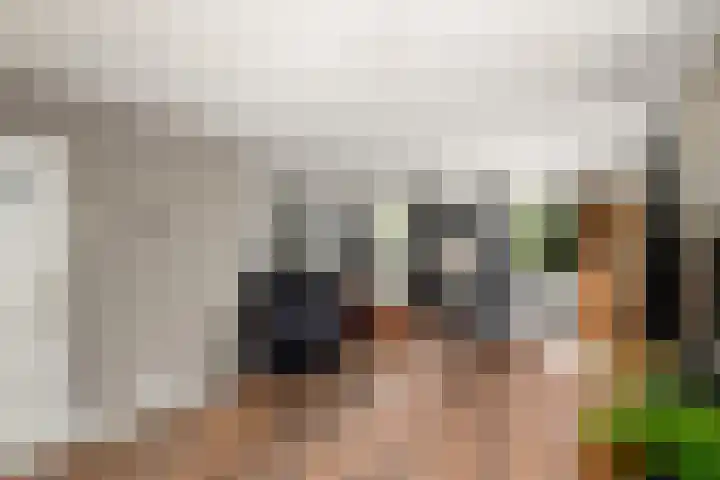 Alde Leane 22 Luxwoude thumbnail 9
