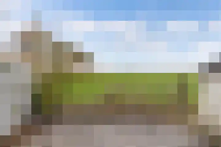 Alde Loop 28 Achlum thumbnail 25