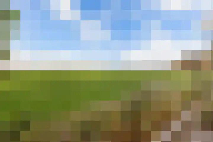 Alde Loop 28 Achlum thumbnail 26