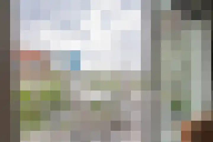Alde Syl 8 Makkum thumbnail 12